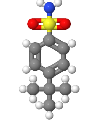 4-叔丁基苯磺酰胺,4-tert-Butylbenzenesulfonamide