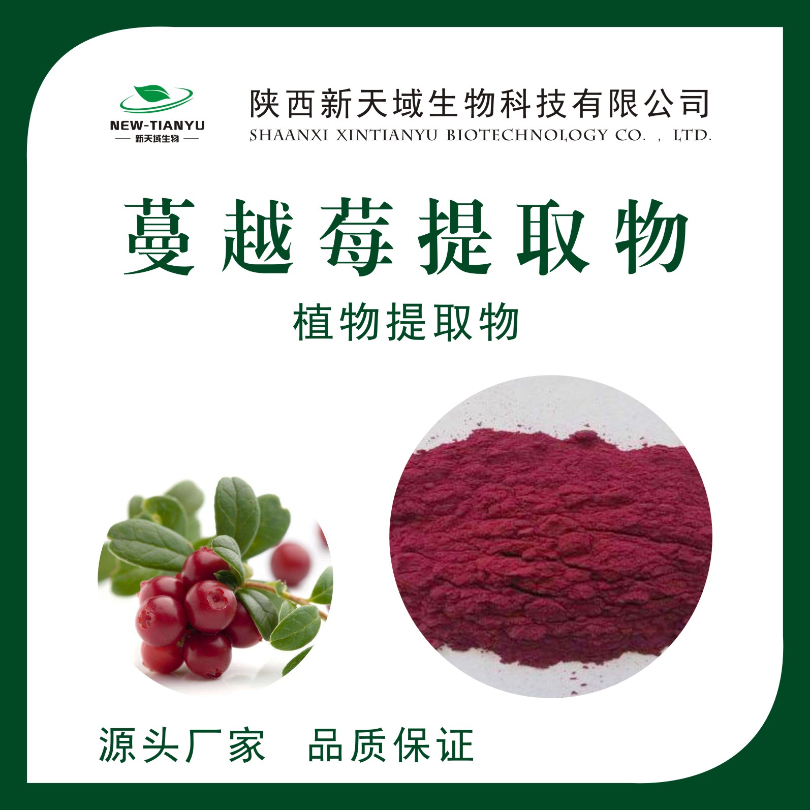 蔓越莓提取物,Cranberry Extract