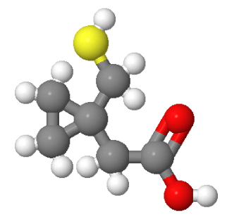 1-巯甲基环丙基乙酸,2-BROMO-5-HYDROXYBENZALDEHYDE