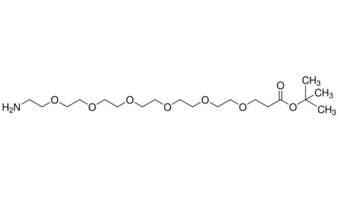 Amino-PEG6-t-butylester,氨基-六聚乙二醇丙酸叔丁酯,Amino-PEG6-t-butylester,H2N-PEG6-t-butyl ester