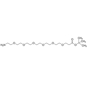 Amino-PEG6-t-butylester,氨基-六聚乙二醇丙酸叔丁酯