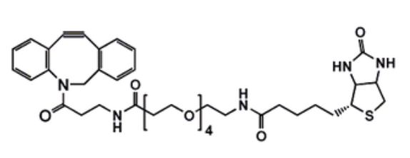 DBCO-PEG4-Biotin，DBCO-NH-PEG4-Biotin，二苯基環(huán)辛炔-四聚乙二醇-生物素