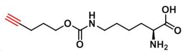 N-戊炔氧羰基]-賴氨酸，N-Pentyn1yloxycarbonyl]-L-lysine,N-Pentyn1yloxycarbonyl]-L-lysine