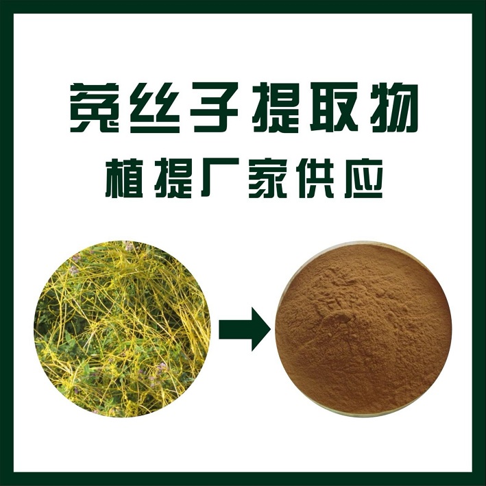 菟丝子提取物,SEMEN CUSCUTAE powder