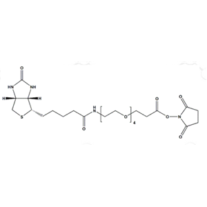Biotin-PEG4-NHS Ester, 生物素四聚乙二醇N-羟基琥珀酰亚胺酯,Biotin-PEG4-NHS Ester