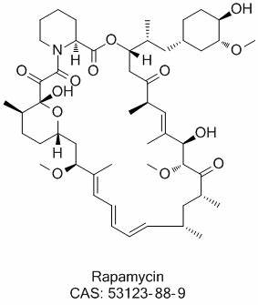 雷帕霉素,Rapamycin