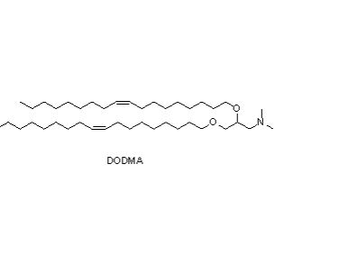 1,2-二油醇-3-二甲基氨基-丙烷（DODMA）,1,2-Dioleyloxy-3-dimethylamino-propane (DODMA)
