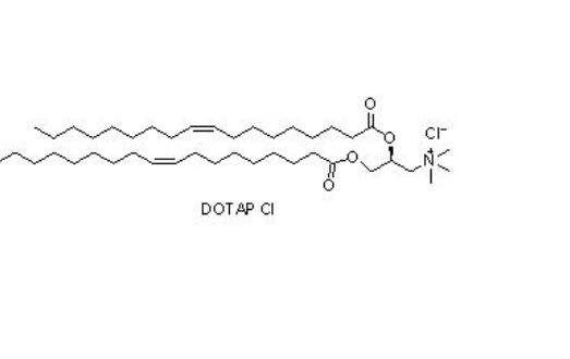 (2,3-二油氧基丙基)三甲基氯化铵,1,2-dioleoyl-3-trimethylammonium-propane (chloride salt)