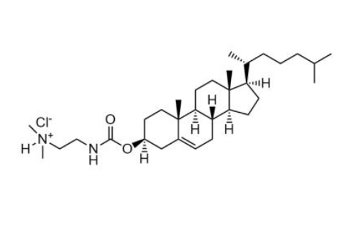 胆固醇基 3β-N-氨基乙基氨基甲酸酯 盐酸盐,DC-Cholesterol?HCl