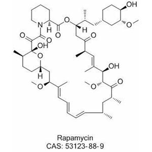 雷帕霉素,Rapamycin