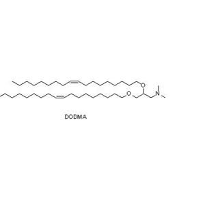 1,2-二油醇-3-二甲基氨基-丙烷（DODMA）,1,2-Dioleyloxy-3-dimethylamino-propane (DODMA)