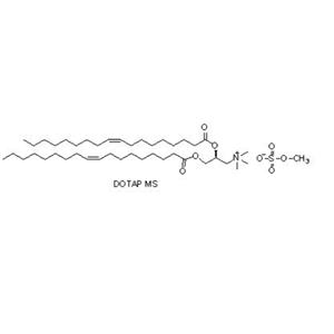 (2,3-二油酰基-丙基)-三甲胺硫酸鹽,1,2-dioleoyl-3-trimethylammonium-propane (methyl sulfate salt)