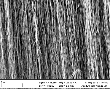 碳纳米管垂直阵列,Carbon nanotubes