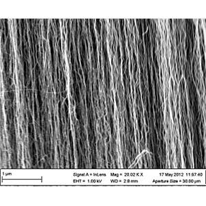 碳纳米管垂直阵列,Carbon nanotubes