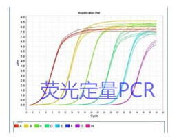 阔盘吸虫通用探针法荧光定量PCR试剂盒,Eurytrema spp.