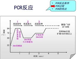 埃希氏菌通用探针法荧光定量PCR试剂盒,Escherichia spp.