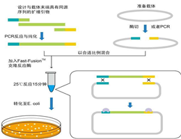虾肝肠微胞虫探针法荧光定量PCR试剂盒,Enterocytozoon hepatopenaei(EHP)