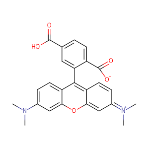 6-羧基四甲基羅丹明,6-Carboxytetramethylrhodamine