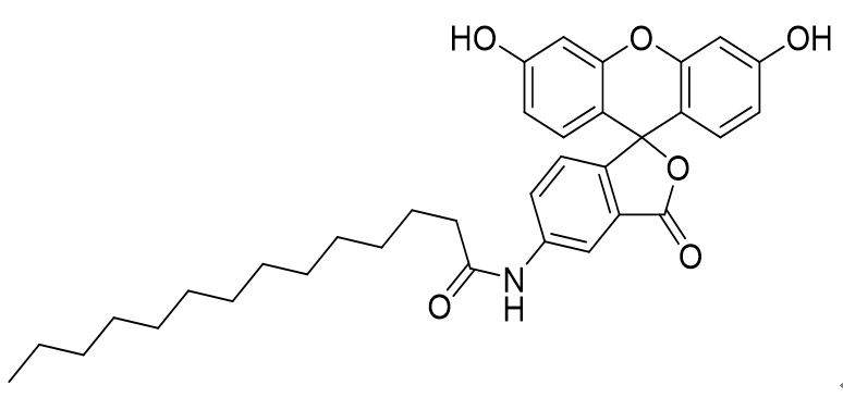 5-(十四酰氨基)荧光素,(Tetradecanoylamino)fluorescein