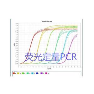 链球菌B组探针法荧光定量PCR试剂盒荧光定量PCR试剂盒