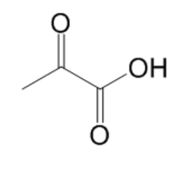 丙酮酸,Pyruvate