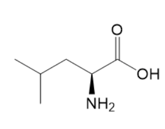 L-亮氨酸,Argatroban Impurity 18
