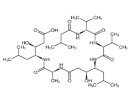 胃酶抑素 A,Pepstatin A