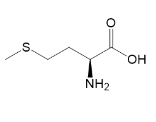 L-蛋氨酸,Methionine