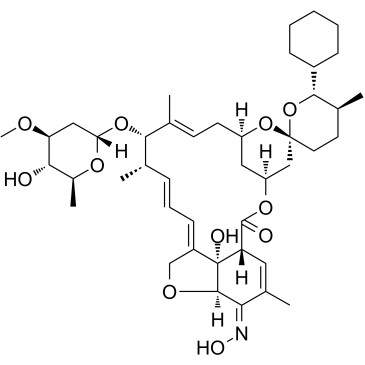 塞拉菌素,Selamectin