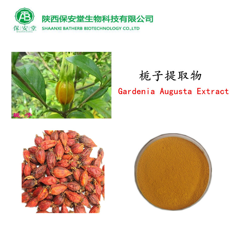 栀子提取物,Gardenia extract Gardenoside