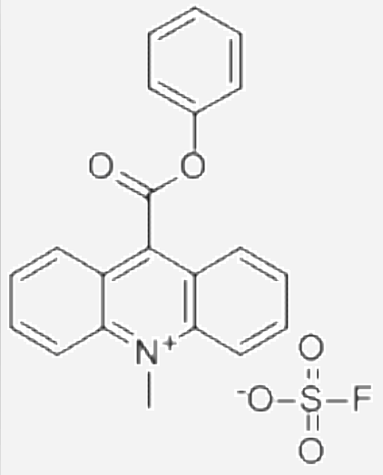10-甲基-9-(苯氧羰基)丫啶鎓氟硫酸盐,10-METHYL-9-(PHENOXYCARBONYL)ACRIDINIUM FLUOROSULFONATE