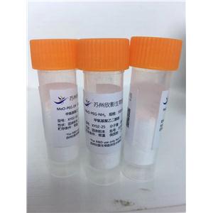 聚乙二醇双胺（NH2-PEG-NH2）2000,Maleimide polyethylene glycol bisphosphonic acid