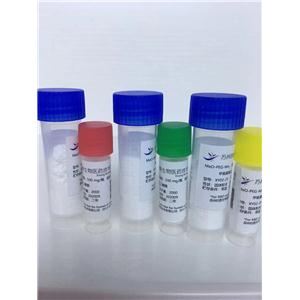 聚乙二醇双胺（NH2-PEG-NH2）2000,Maleimide polyethylene glycol bisphosphonic acid