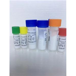 马来酰亚胺聚乙二醇双膦酸（Mal-PEG-DP）1000,Maleimide polyethylene glycol bisphosphonic acid