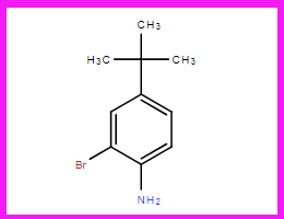 2-溴-4-叔丁基苯胺,2-Bromo-4-(tert-butyl)aniline