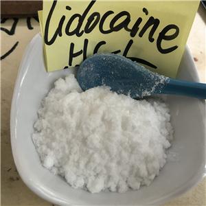 利多卡因,lidocaine