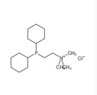 [2-(双环己基膦基)乙基]三甲基三甲基氯化铵,2-(DICYCLOHEXYLPHOSPHINOETHYL)TRIMETHYLAMMONIUM CHLORIDE