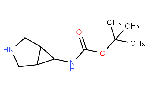 (3-氮杂双环[3,1,0]-6-己基)-氨基甲酸叔丁酯,Carbamic acid, 3-azabicyclo[3.1.0]hex-6-yl-, 1,1-dimethylethyl ester (9CI)