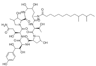 紐莫康定AO,Pneumocandin A0