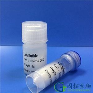 利拉鲁肽,Liraglutide