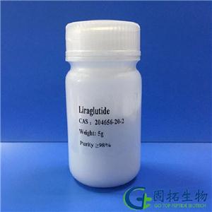 利拉鲁肽,Liraglutide