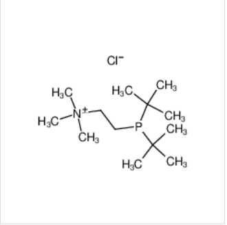 2-[双(叔丁基)膦]-N,N,N-三甲基乙基氯化铵,2-(Di-t-buthylphosphinoethyl)trimethylammonium