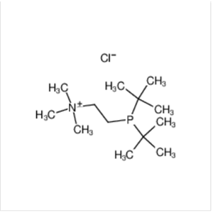 2-[双(叔丁基)膦]-N,N,N-三甲基乙基氯化铵