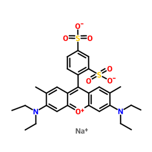 丽丝胺罗丹明B,Sulforhodamine B