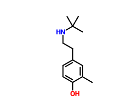 4-叔丁基氨基-2-甲基苯酚,4-tert-ButylaMinoethyl-2-Methylphenol