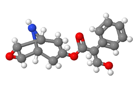 去甲东莨菪碱