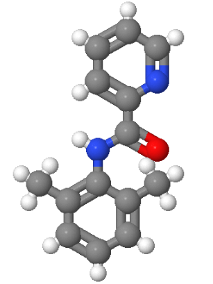 N-(2,6-二甲基苯基)-2-吡啶甲酰胺,N-(2,6-Dimethylphenyl)-2-picolinamide