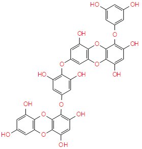 二鹅掌菜酚,Dieckol