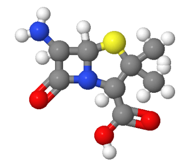 6-氨基青霉烷酸,6-Aminopenicillanic acid