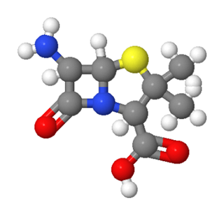 6-氨基青霉烷酸,6-Aminopenicillanic acid